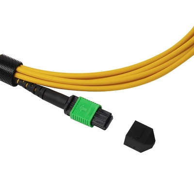플레넘 OFNP MPO 패치 코드 1m 3ft MTP-12 APC 여성에서 MTP-12 APC 여성 단일 모드 OS2