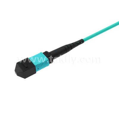 24 코어 MTP 트렁크 케이블 데이터 센터용 광섬유 점퍼 FTTX PVC 사용자 정의