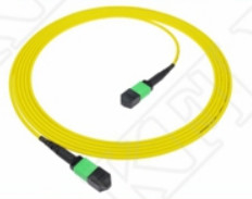 2m 7ft MTP 패치 코드 플레넘 OFNP MPO 패치 코드 케이블 3.0mm MTP 12F APC 여성 엘리트