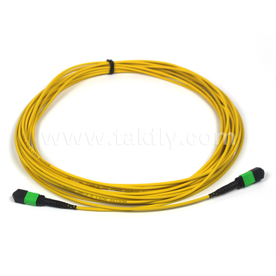 MTP-12 APC 여성에서 MTP-12 APC 여성 싱글 모드 OS2 플레넘 OFNP 타입 A MPO 패치 코드