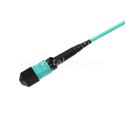 엘리트 멀티모드 OM3 50/125 플레넘 OFNP B형 MPO 패치 코드 30m 100ft MTP-12 PC 여성 MTP-12 PC 여성