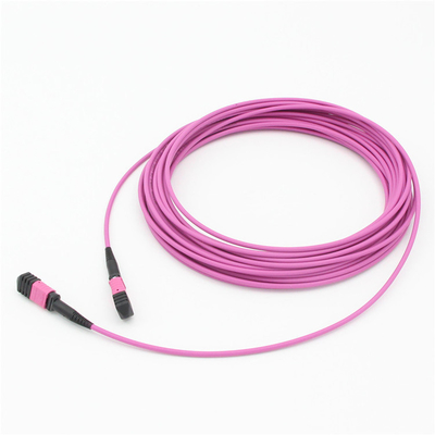 엘리트 멀티모드 OM4 50/125, 플레넘 OFNP B형 MPO 패치 코드 1m 3ft MTP-12 PC 여성에서 MTP-12 PC 여성