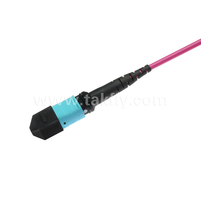 엘리트 멀티모드 OM4 50/125, 플레넘 OFNP B형 MPO 패치 코드 1m 3ft MTP-12 PC 여성에서 MTP-12 PC 여성