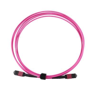 엘리트 멀티모드 OM4 50/125, 플레넘 OFNP B형 MPO 패치 코드 5m 16ft MTP-12 PC 여성에서 MTP-12 PC 여성