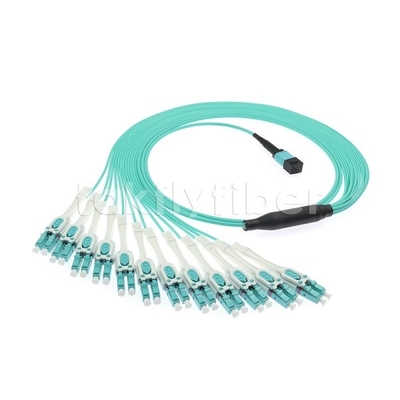 24 F MPO-LC 유니부트 OM3 파이버 패치 코드 12x LC DX 대형 네트워크에 적합
