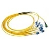 Takfly G657A1 LSZH MPO MTP 광섬유 패치 코드 단일 모드