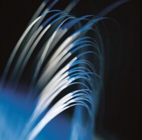 PANDA PM 고성능 편광 유지 섬유