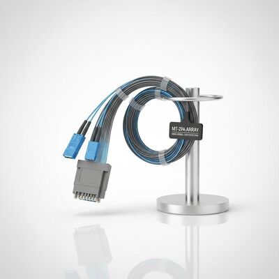 데이터 센터 애플리케이션을 위한 고속 비용 효율적인 사용자 정의 가능한 MT에서 FA 섬유 배열 어셈블리