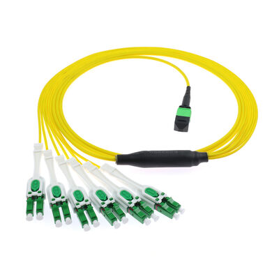 12파이버 MPO/MTP - 6포트 LC APC Uniboot 브레이크아웃 패치 코드 | OS2 단일 모드 | 듀플렉스 DX 구성