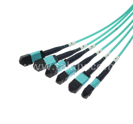72 코어 MPO/PC 트렁크 패치 코드 OM3 멀티모드, 6×MPO 입력에서 6×MPO 출력, 낮은 삽입 손실, 고밀도 데이터 센터 및 40G/100G SR4/SR10 애플리케이션
