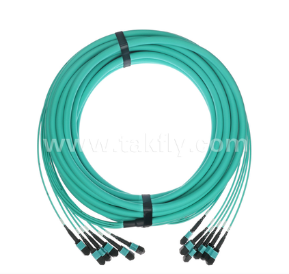 72 코어 MPO/PC 트렁크 패치 코드 OM3 멀티모드, 6×MPO 입력에서 6×MPO 출력, 낮은 삽입 손실, 고밀도 데이터 센터 및 40G/100G SR4/SR10 애플리케이션