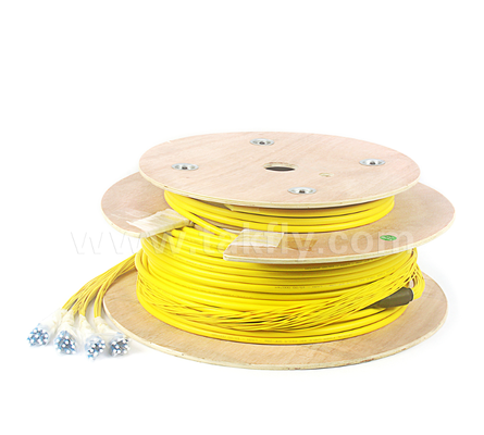 48 코어 LC-LC 사전 종료 된 브레이크 아웃 패치 코드 (Bare Fiber / 0.9mm / 2.0mm / 3.0mm)