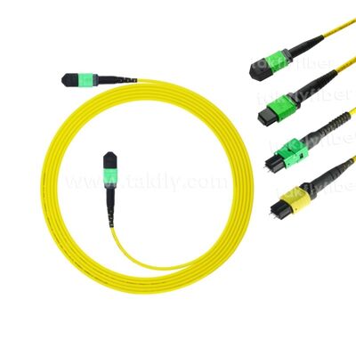 MPO MTP 패치코드 SM 트렁크 케이블 12F 데이터 센터 AI 통신 FTTX 케이블링용 광섬유