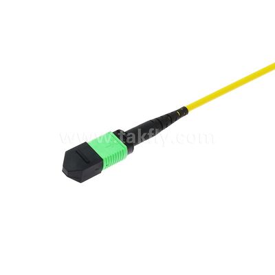MPO MTP 패치코드 SM 트렁크 케이블 12F 데이터 센터 AI 통신 FTTX 케이블링용 광섬유