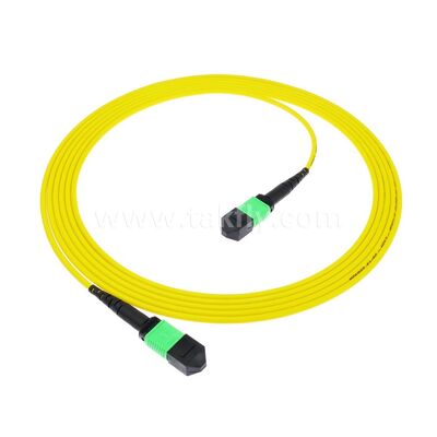MPO MTP 패치코드 SM 트렁크 케이블 12F 데이터 센터 AI 통신 FTTX 케이블링용 광섬유