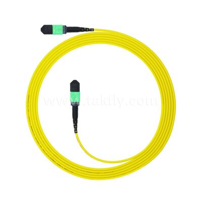 MPO MTP 패치코드 SM 트렁크 케이블 12F 데이터 센터 AI 통신 FTTX 케이블링용 광섬유