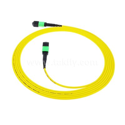 MPO MTP 패치코드 SM 트렁크 케이블 12F 데이터 센터 AI 통신 FTTX 케이블링용 광섬유