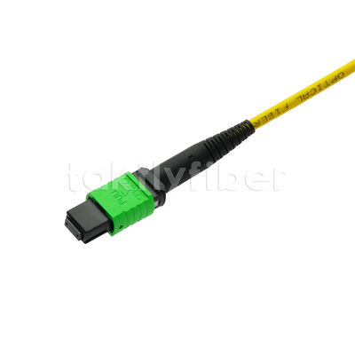 MPO MTP 패치코드 SM 트렁크 케이블 12F 데이터 센터 AI 통신 FTTX 케이블링용 광섬유
