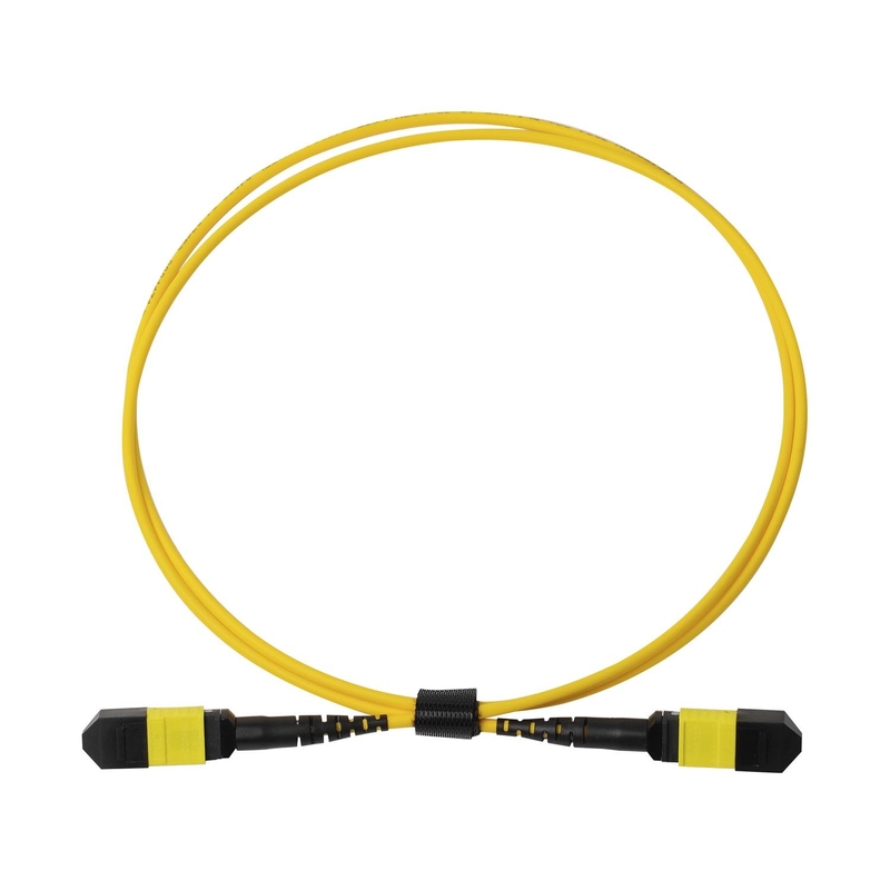 플레넘 OFNP MPO 패치 코드 1m 3ft MTP-12 APC 여성에서 MTP-12 APC 여성 단일 모드 OS2