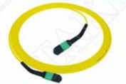 MTP-12 APC 여성에서 MTP-12 APC 여성 싱글 모드 OS2 플레넘 OFNP 타입 A MPO 패치 코드