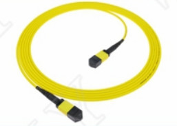 MTP-12 APC 여성에서 MTP-12 APC 여성 싱글 모드 OS2 플레넘 OFNP 타입 A MPO 패치 코드 5m 16ft