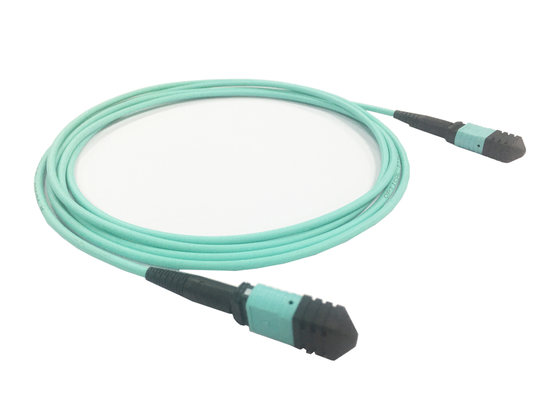 엘리트 멀티모드 OM3 50/125, 플레넘 OFNP B형 MPO 패치 코드 3m 10ft MTP-12 PC 여자 MTP-12 PC 여자