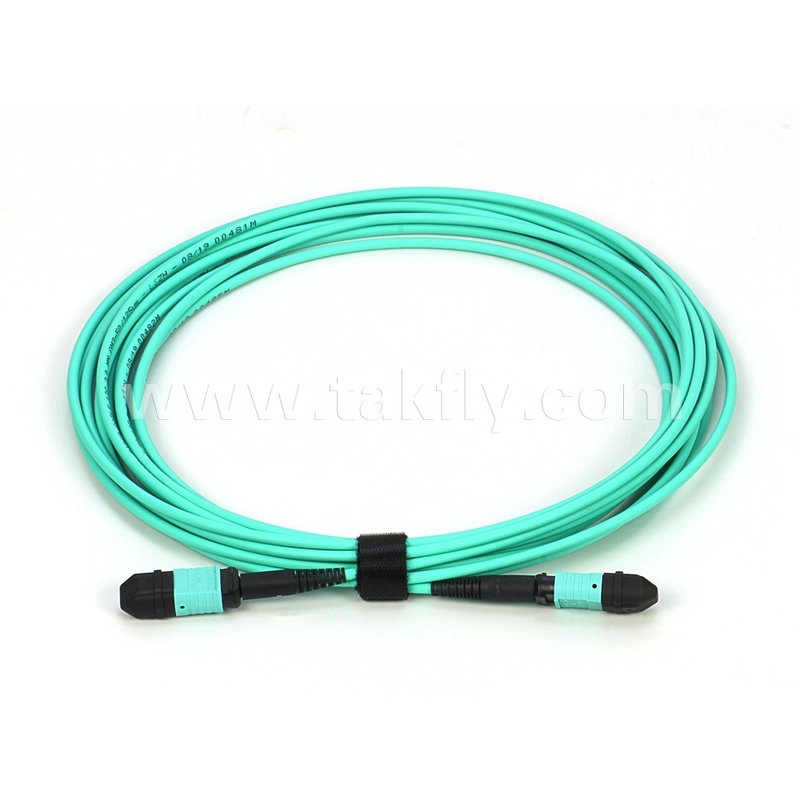 엘리트 멀티모드 OM3 50/125 플레넘 OFNP B형 MPO 패치 코드 30m 100ft MTP-12 PC 여성 MTP-12 PC 여성