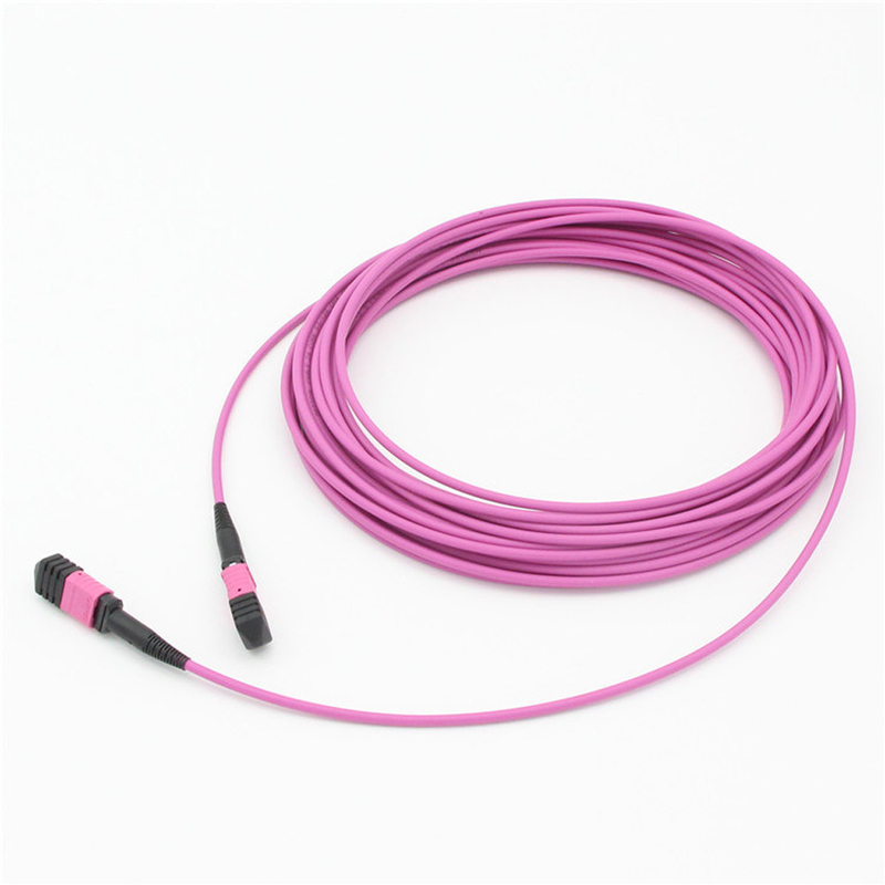 엘리트 멀티모드 OM4 50/125, 플레넘 OFNP B형 MPO 패치 코드 1m 3ft MTP-12 PC 여성에서 MTP-12 PC 여성