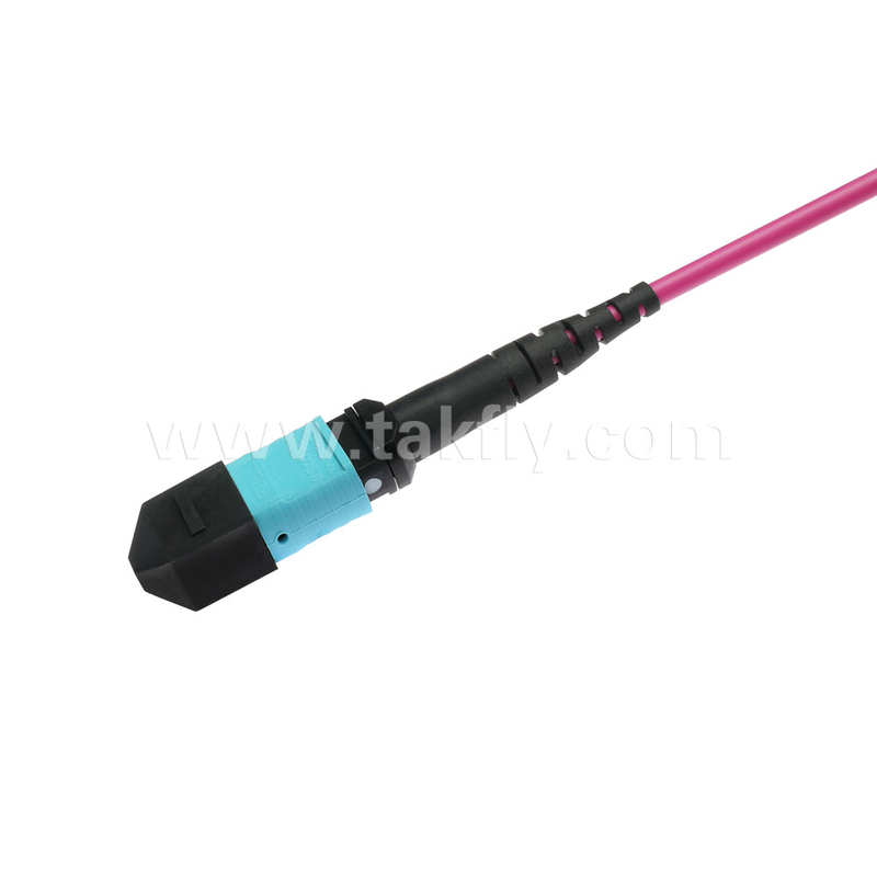 엘리트 멀티모드 OM4 50/125, 플레넘 OFNP B형 MPO 패치 코드 3m 10ft MTP-12 PC 여성에서 MTP-12 PC 여성