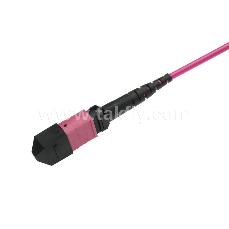 엘리트 멀티모드 OM4 50/125, 플레넘 OFNP B형 MPO 패치 코드 5m 16ft MTP-12 PC 여성에서 MTP-12 PC 여성