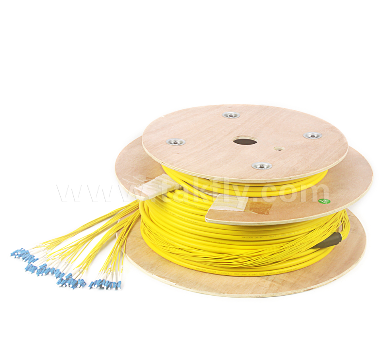 48 코어 LC-LC 사전 종료 된 브레이크 아웃 패치 코드 (Bare Fiber / 0.9mm / 2.0mm / 3.0mm)